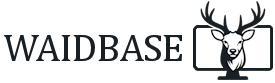 Wildbase Logo