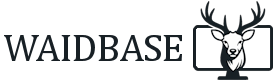 Wildbase Logo